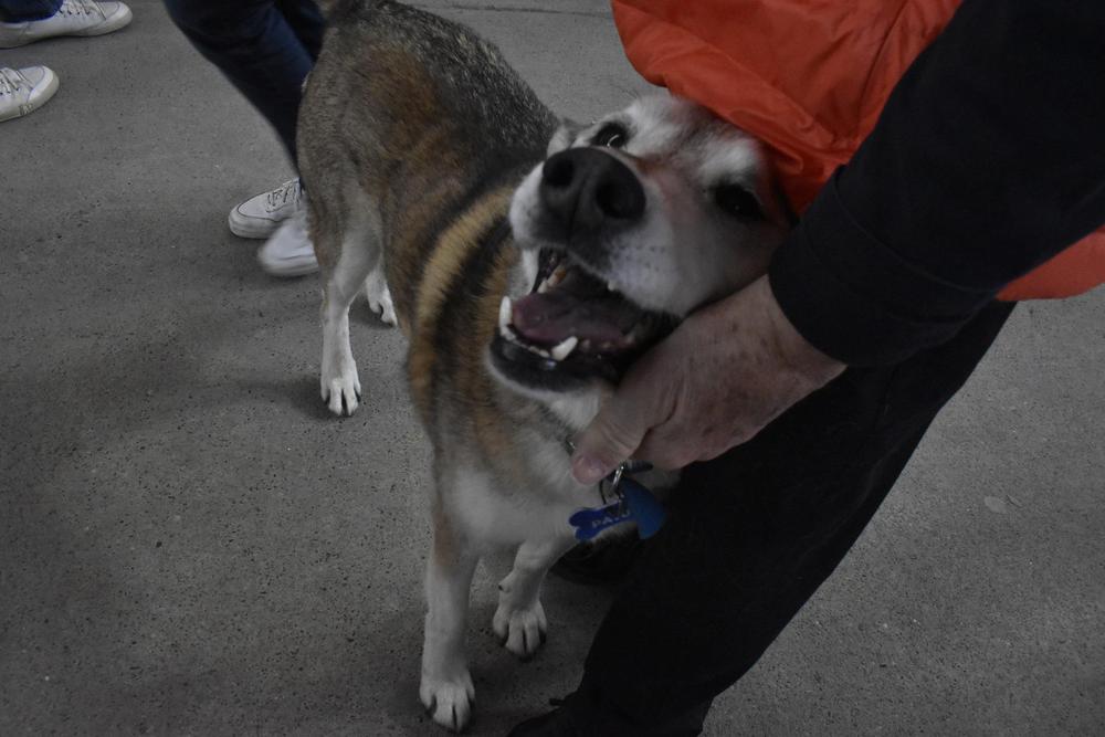 315605757_516209363872008_7611305801207276954_n