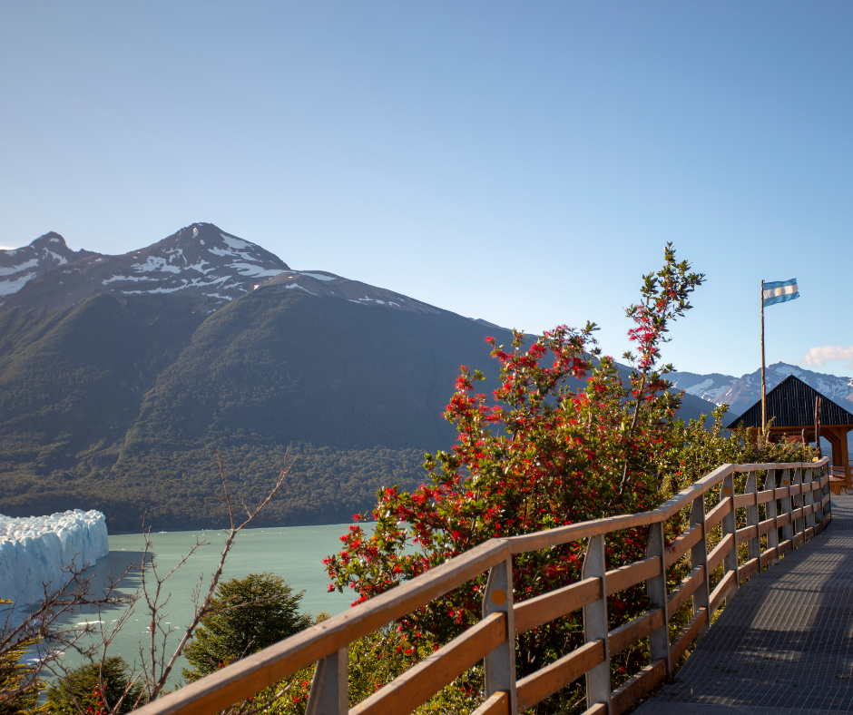 EL CALAFATE 00