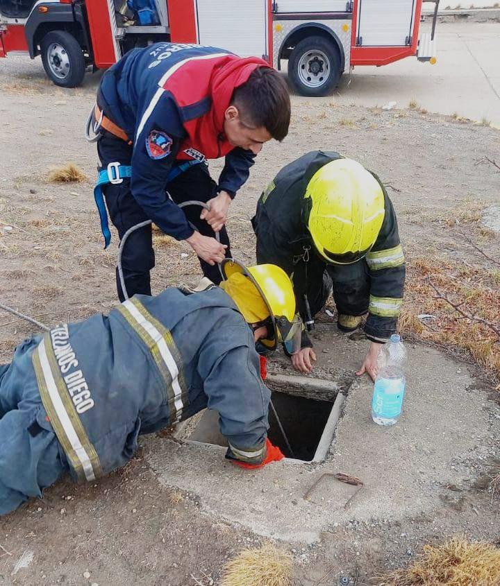 WhatsApp Image 2023-05-11 at 17.26.20 (1)