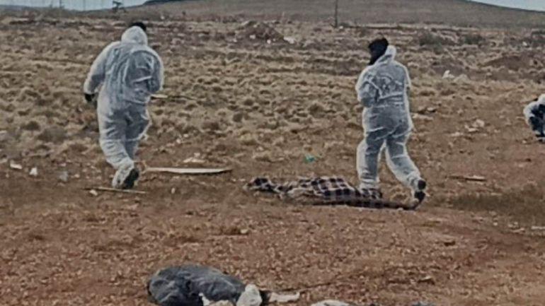 asesinan-una-mujer-y-la-arrojan-un-descampado