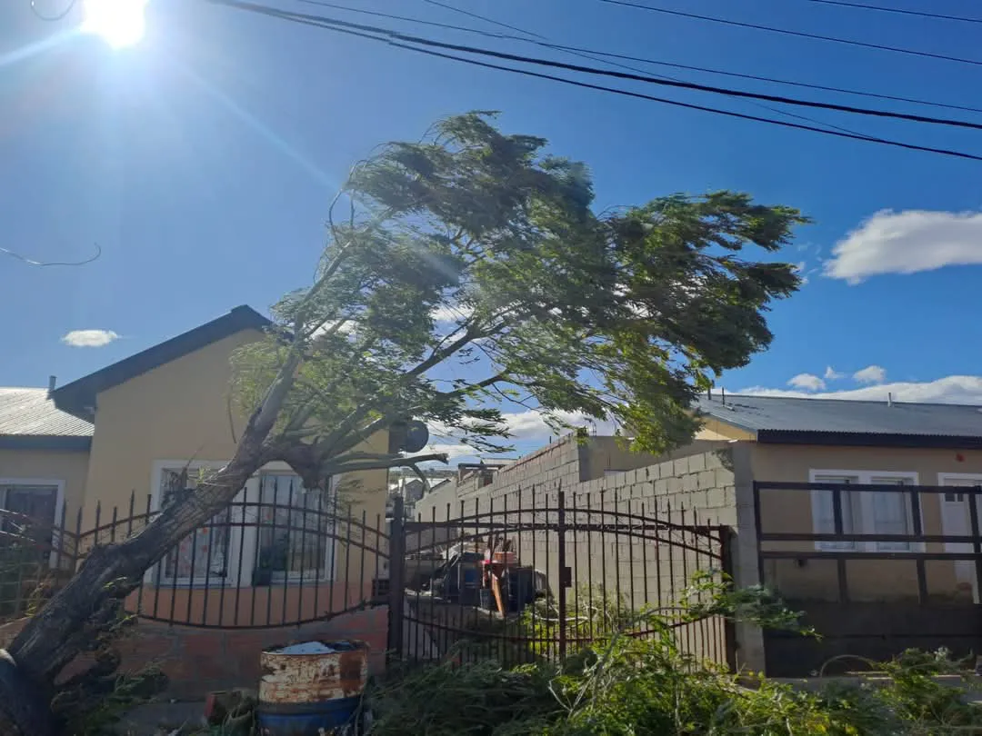 FB_IMG_1741718326530