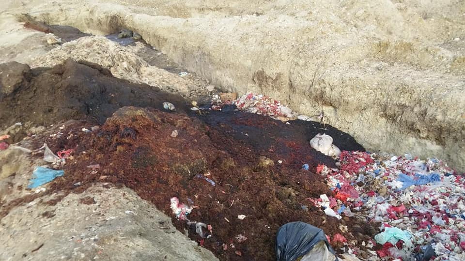 54398014_599607550503596_8256233903891677184_n (1)