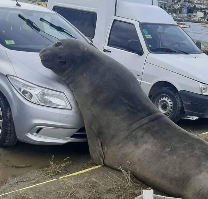 WhatsApp Image 2023-01-11 at 16.35.15