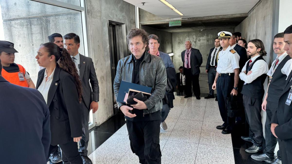 65a5aa242cdf9_1200 (1)