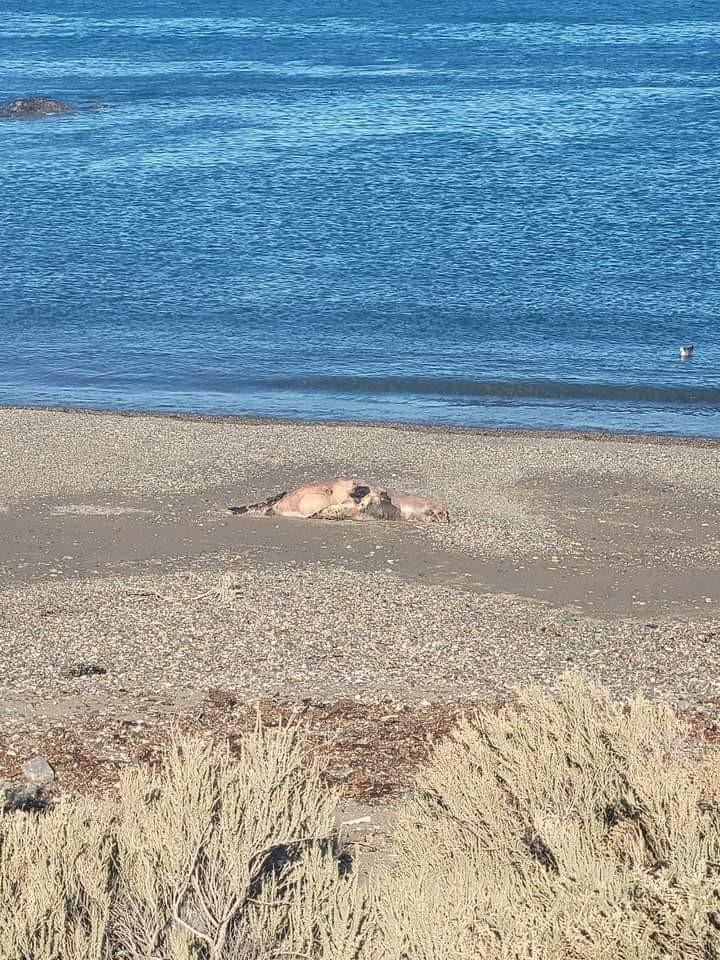 WhatsApp Image 2024-04-13 at 5_46_53 PM