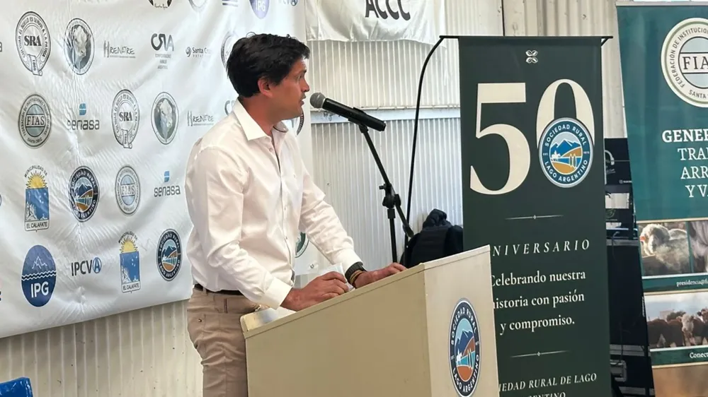 webvero (51)