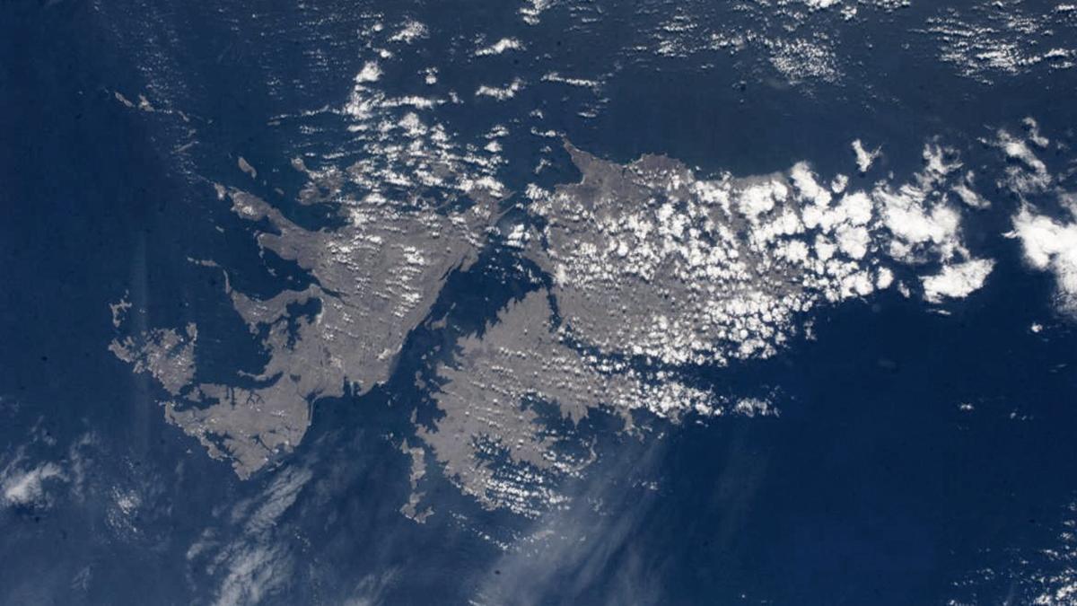 malvinas