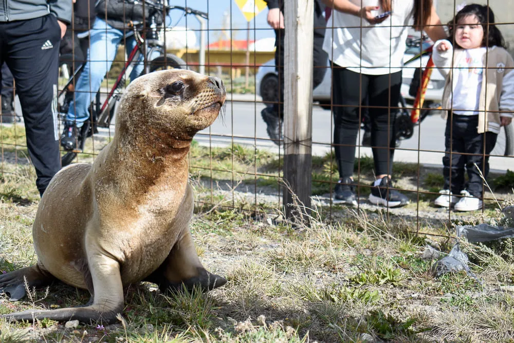 462231264_957703683055905_4973530421322561403_n