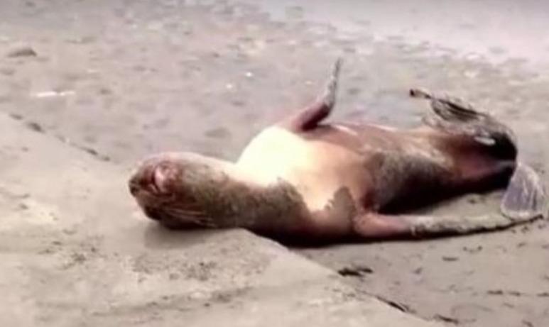 WhatsApp Image 2023-02-21 at 22.18.41