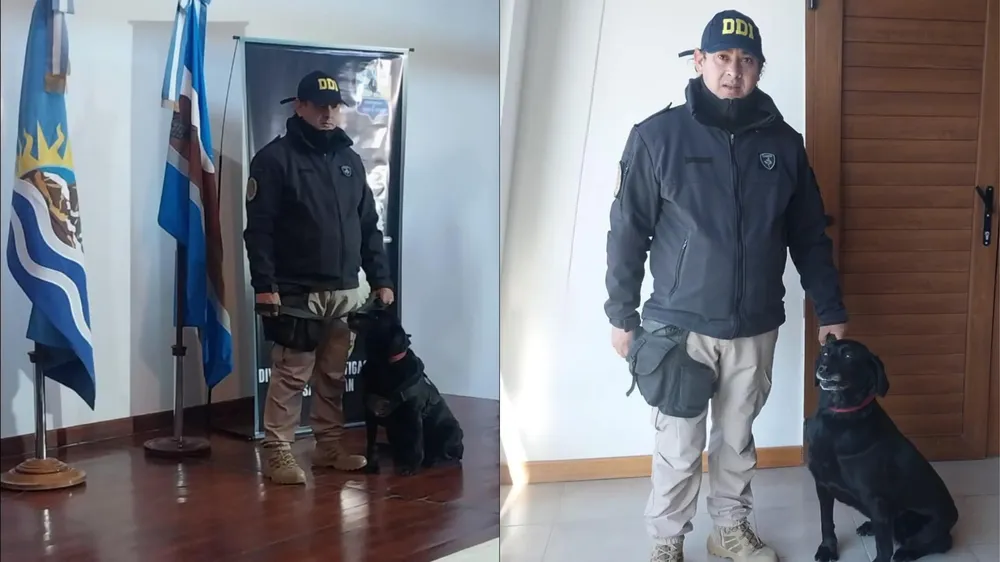 webvero - 2025-05-16T091202.318