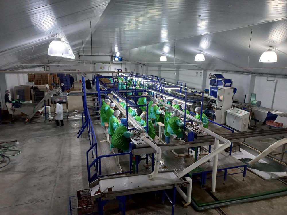 WhatsApp_Image_2024-01-30_at_10.57.05_2