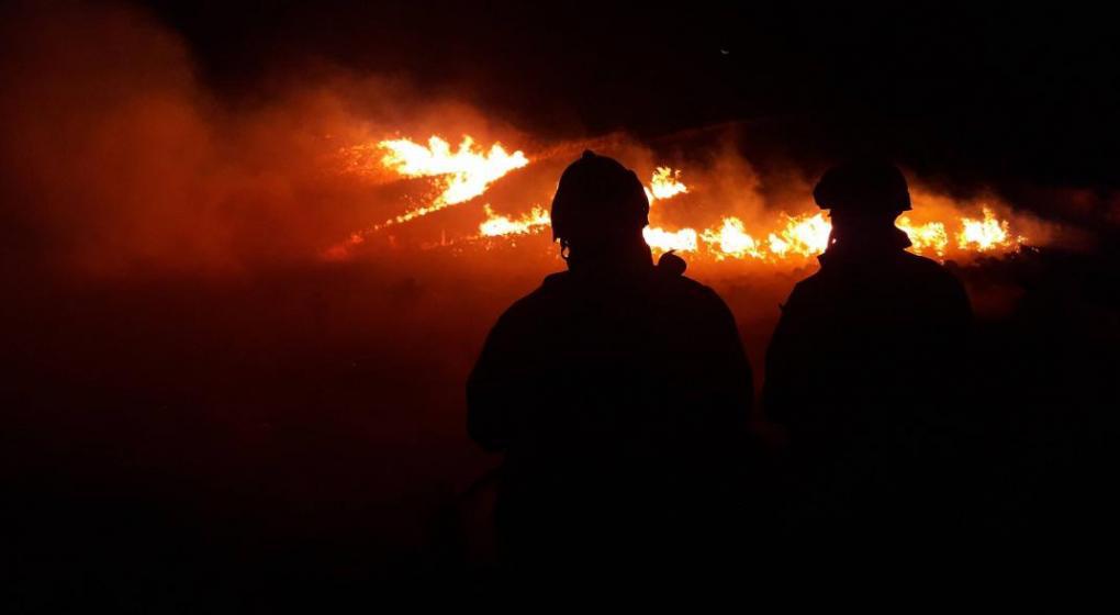 cssd_1603073423_1603106525