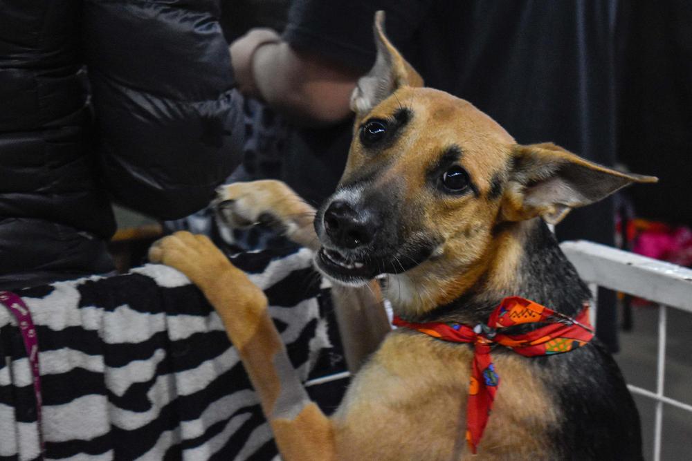 343188877_2537301839766695_783193872038428712_n