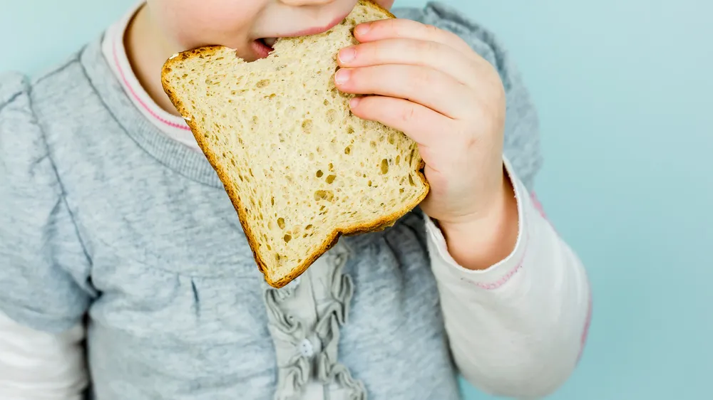 webvero - 2025-05-27T180509.928