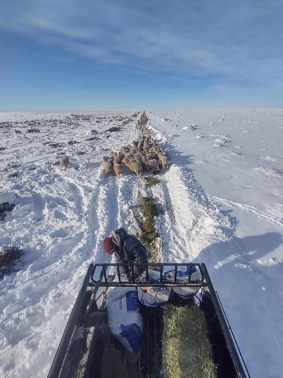 22b244ae-41cb-4e49-adf1-f1c1f81b548b