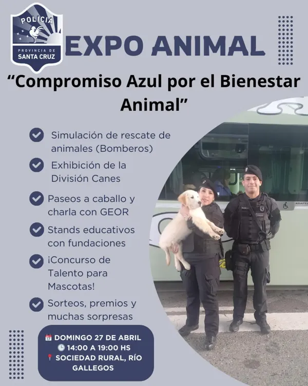 WhatsApp_Image_2025-04-22_at_14.17.24