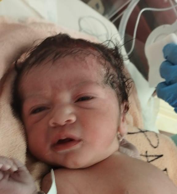 WhatsApp Image 2024-01-01 at 13.41.55