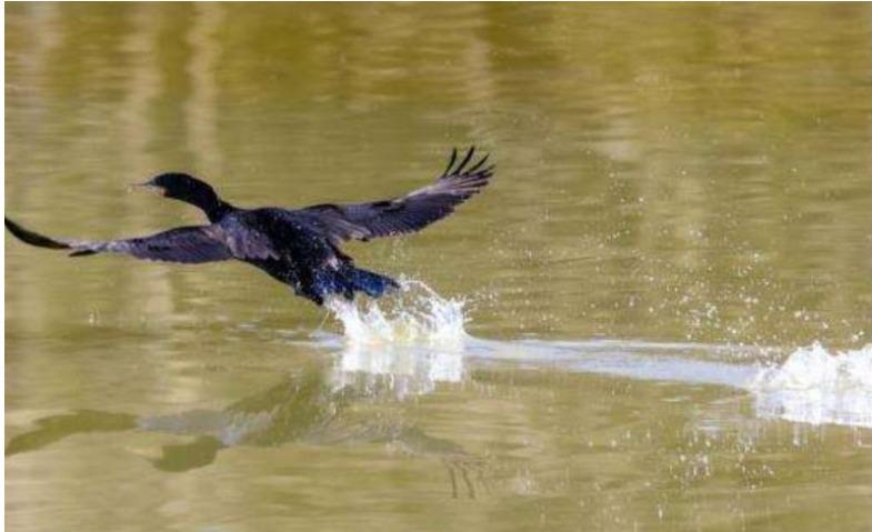 WhatsApp Image 2023-02-18 at 14.20.45