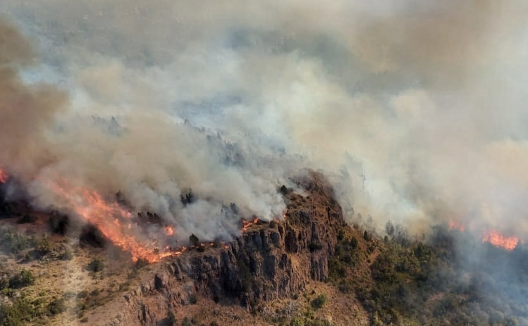 incendio-los-alerces1.jpg-e1675717890428
