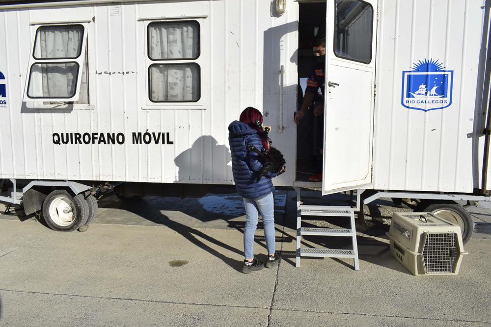 DES-ANIM_CASTRAMOVIL_12_04 (2)