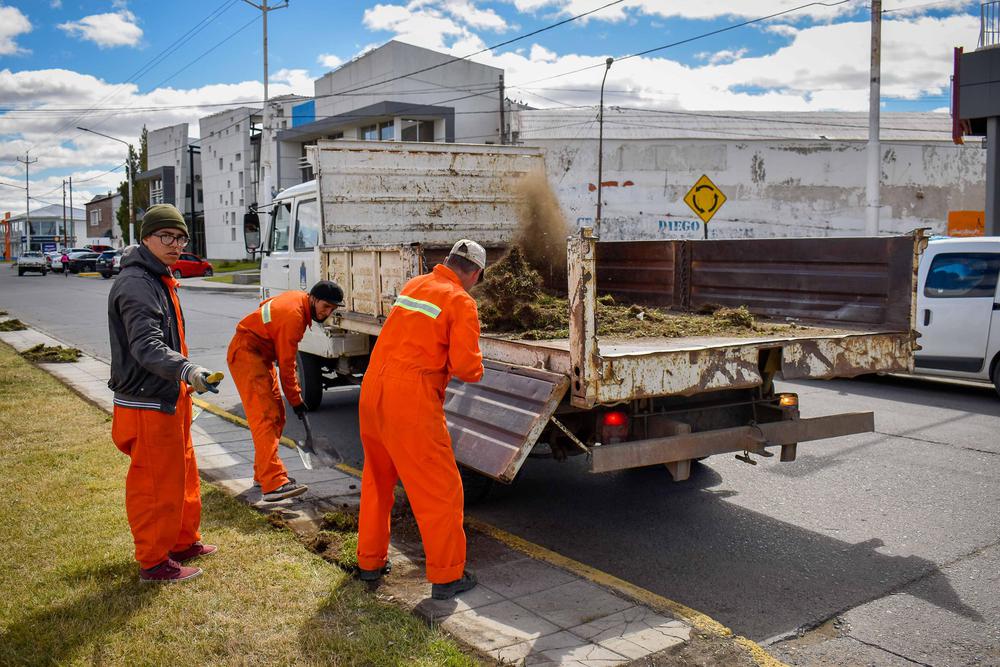 SOPU_BORDEADO DE CESPED-AV GREGORES_19-01-21_-4