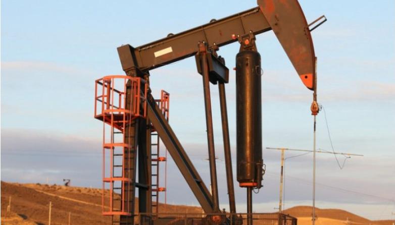 WhatsApp Image 2023-03-04 at 22.47.08