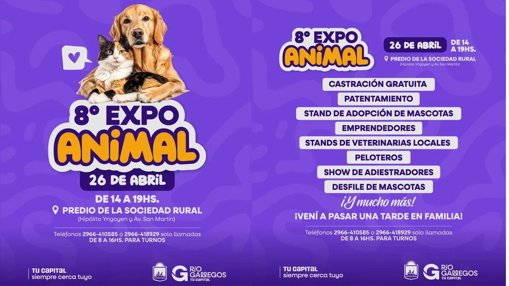 webvero - 2025-04-24T112617.393