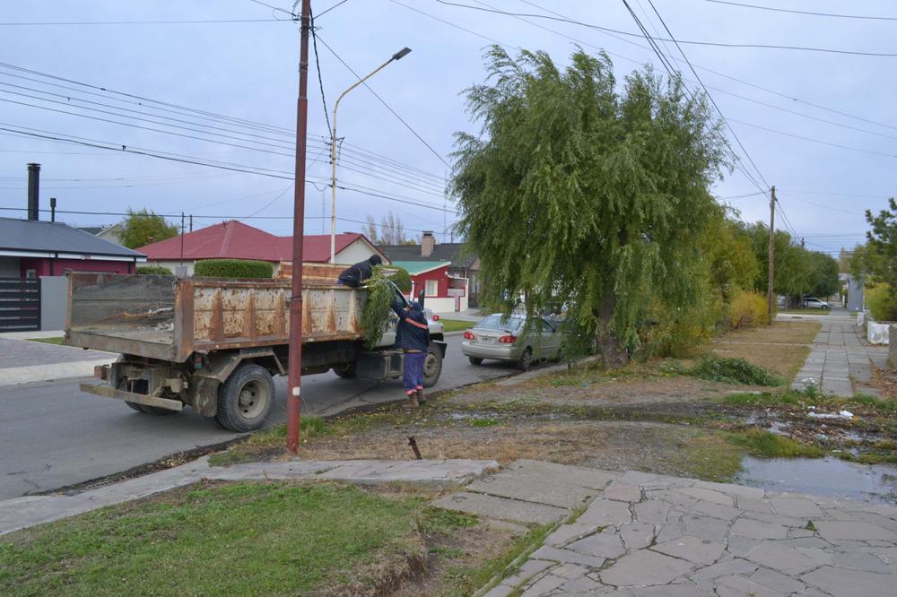 SOP-ESP_PODA 9 DE JULIO_04_05 (4)