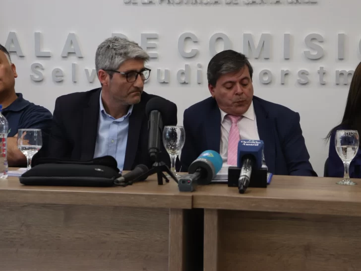 conferencia-de-prensa-legislatura-leguizamon-partido-ser-2390dj230d-11-728x546