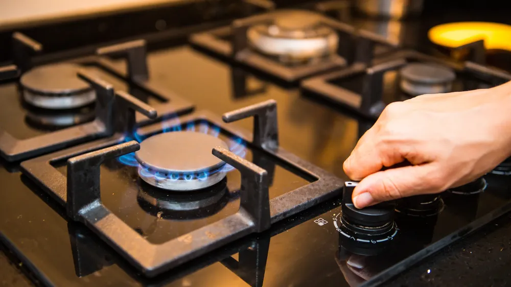 webvero - 2025-05-26T100936.209