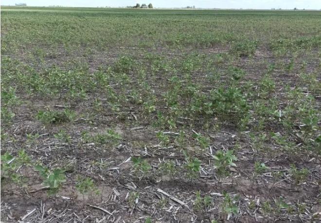 WhatsApp Image 2023-01-14 at 16.38.04