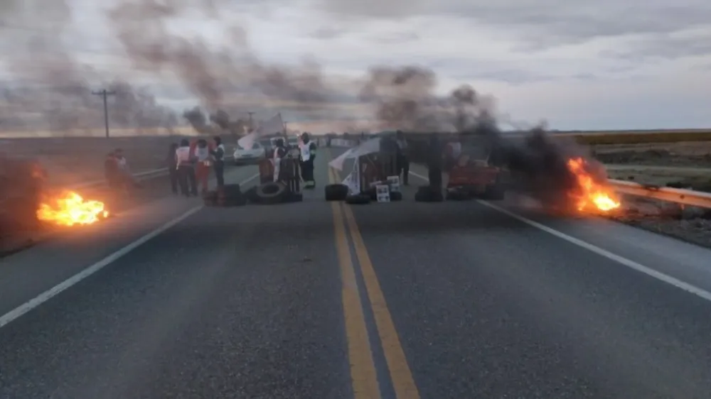 webvero - 2025-10-16T100047.419