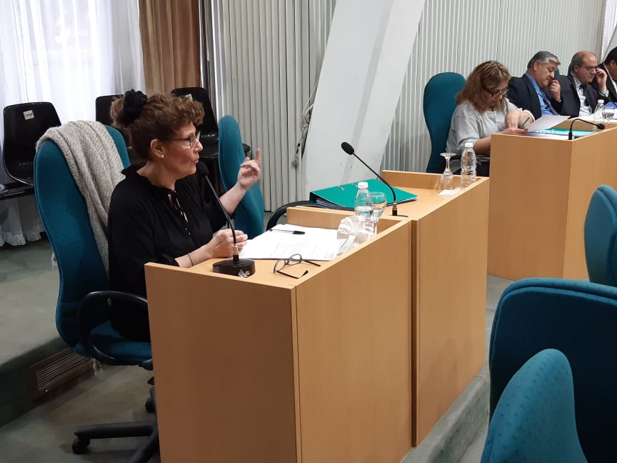 Diputada Mestelán en la sesión del último jueves