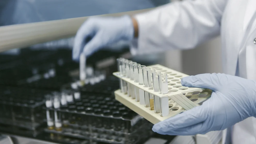 T7QSDH7PLNEFPAMLKDSMRUOG4I