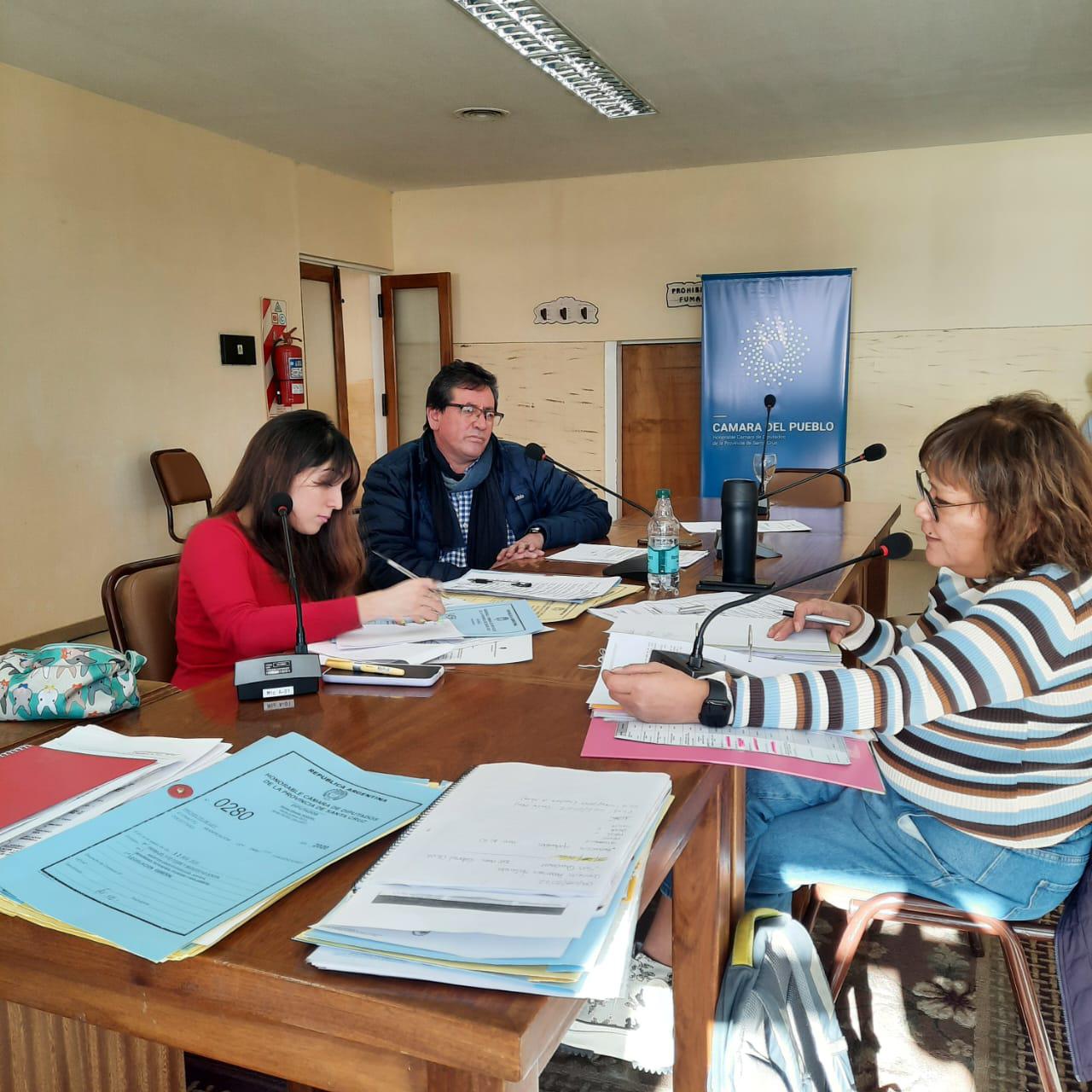 Reuniones de Comisión (2)