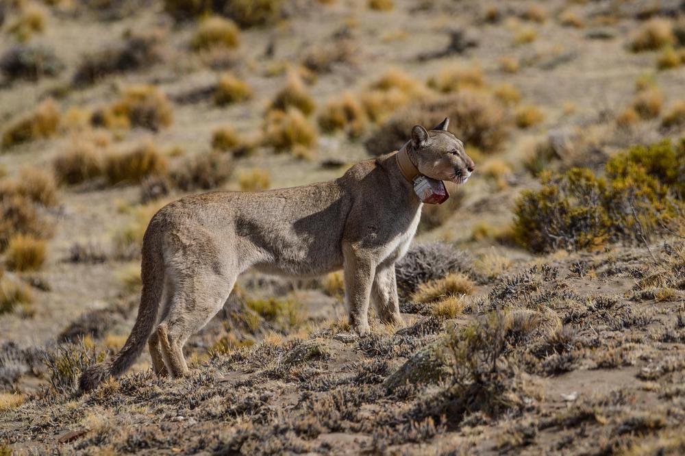 DSC_3446 CREDITO FRANCO BUCCI