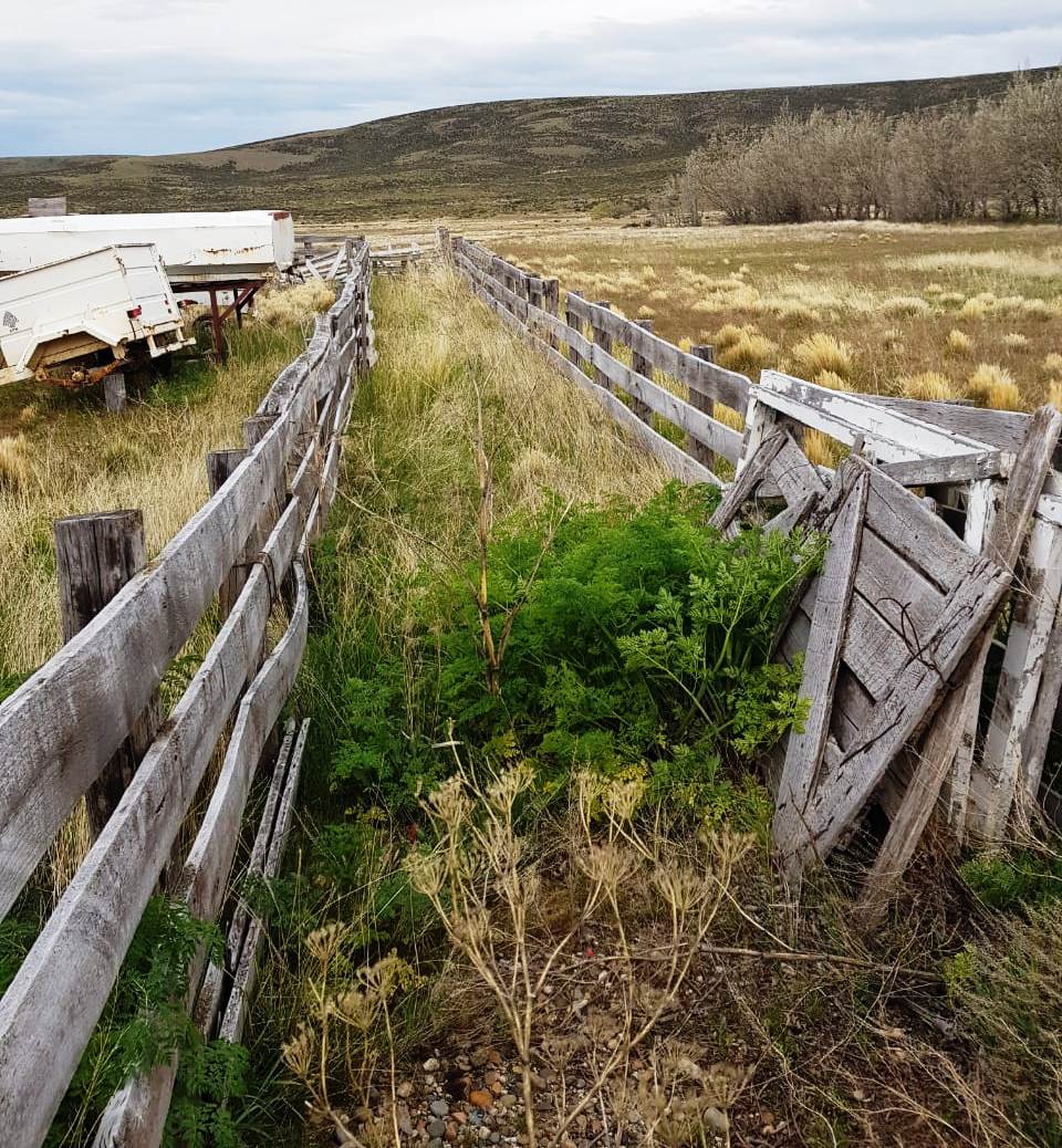 multimedia.normal.b4f529341d022fbb.494d472d32303138313130392d5741303032305f6e6f726d616c2e6a7067