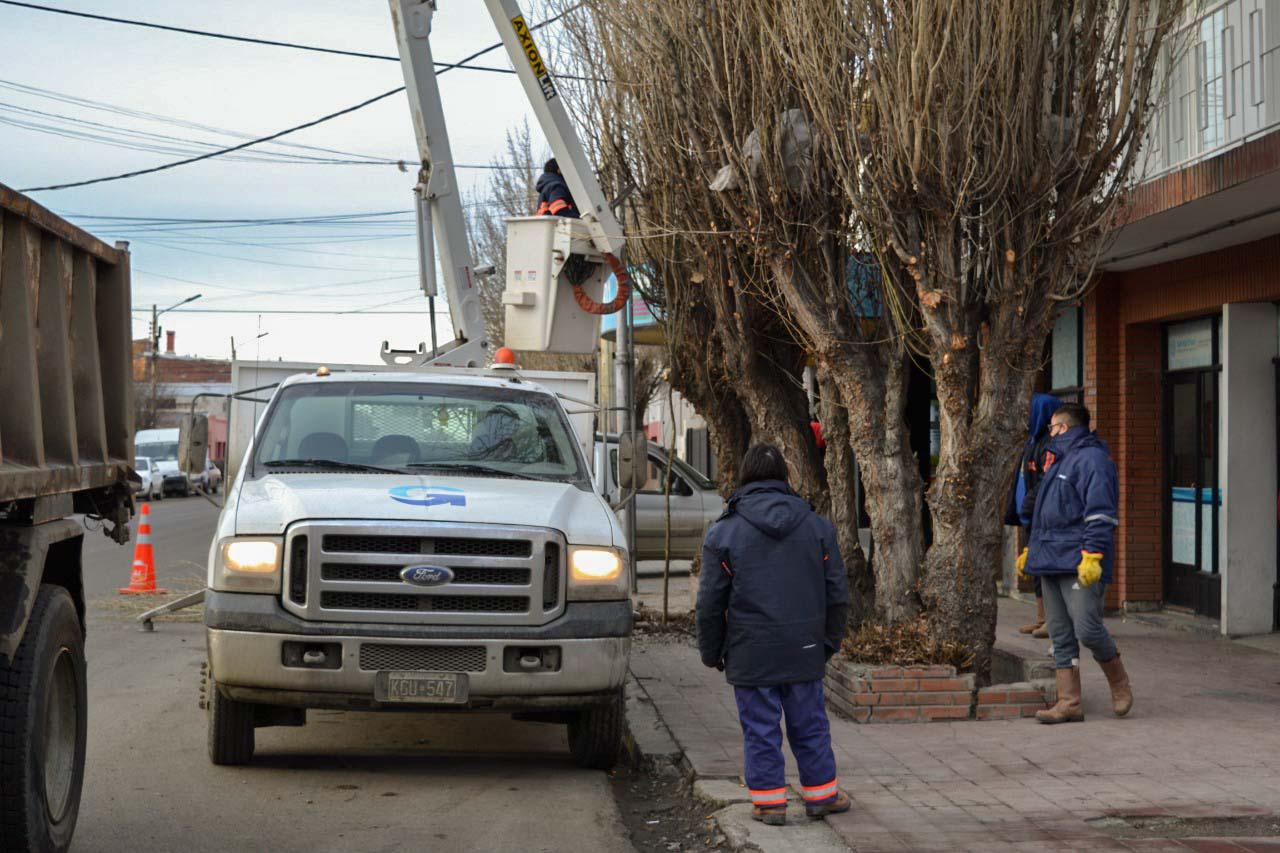 SOP - Poda mariano Moreno - SIN SELLO - 21-07-2021-5 (1)