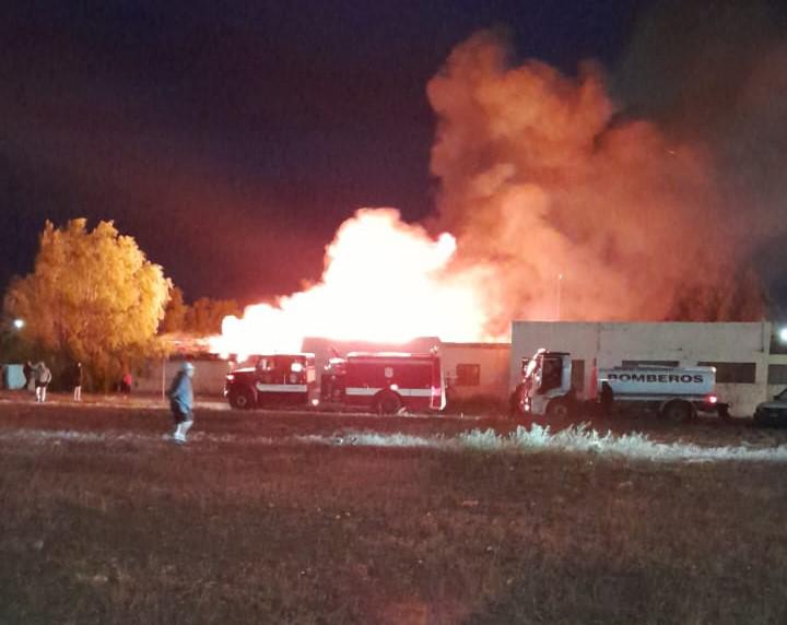 WhatsApp Image 2023-12-19 at 00.19.12