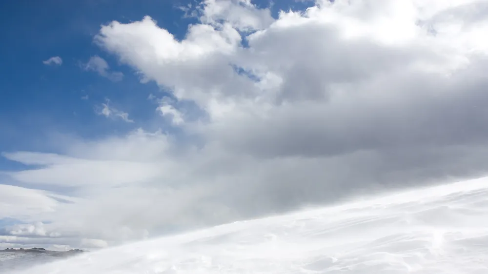 webvero - 2025-05-14T102103.605