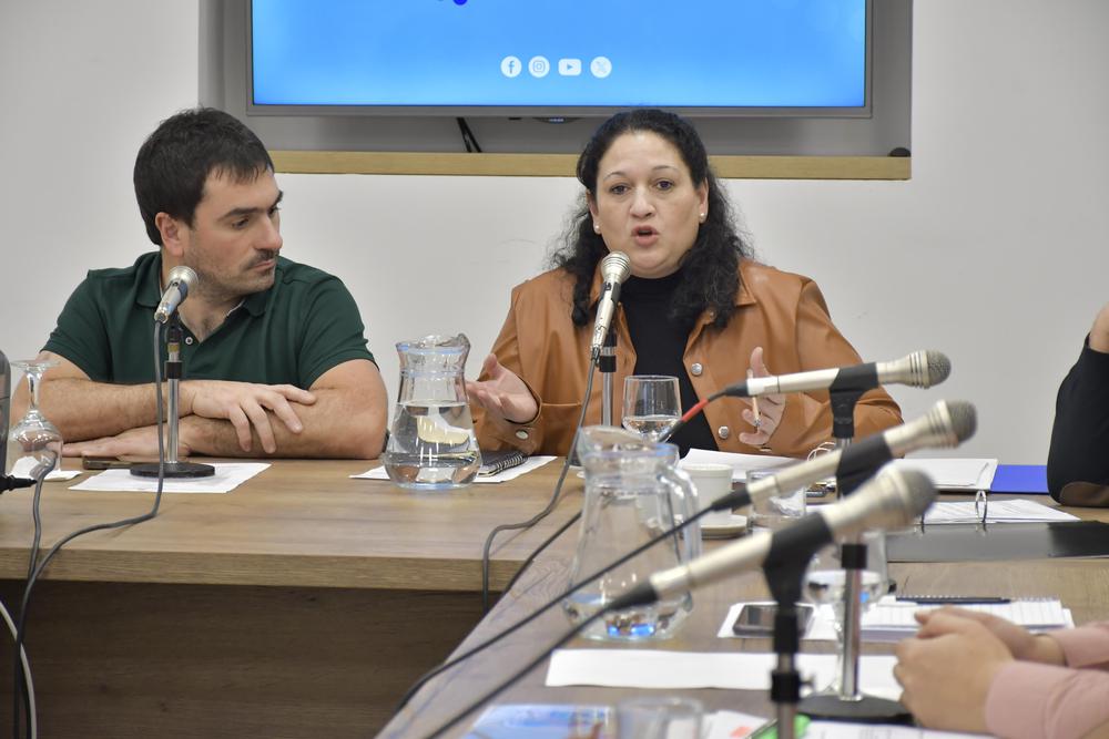 Los diputados Santiago Aberastain y Fabiola Loreiro (Por Santa Cruz).