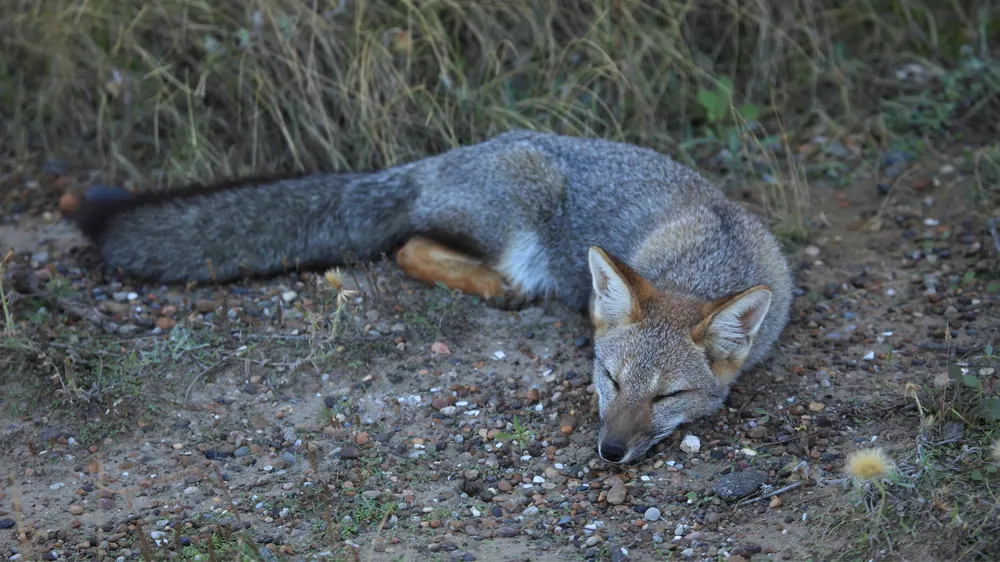 webvero - 2025-04-24T172041.157