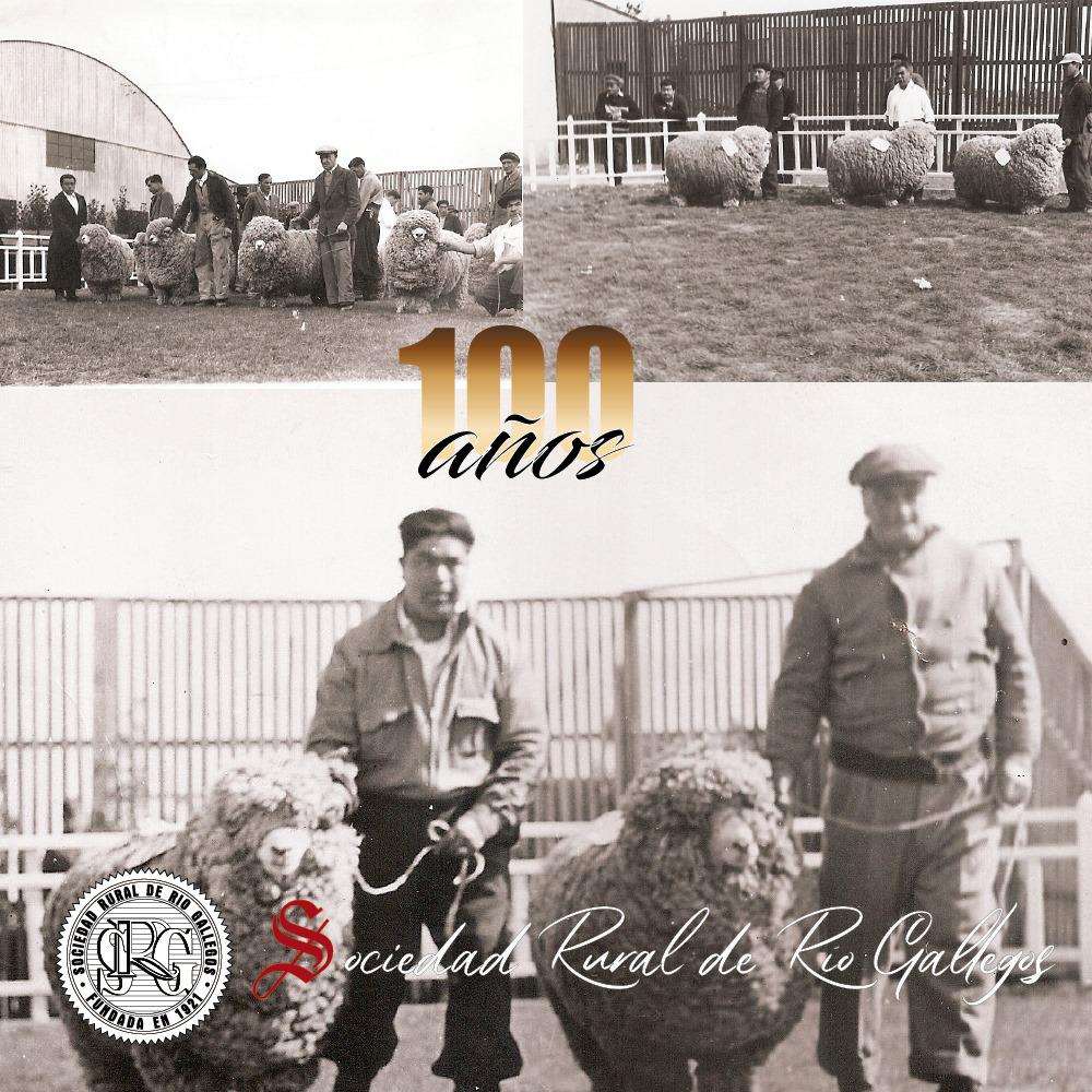 140034106_1550997131771912_869757613682349215_o