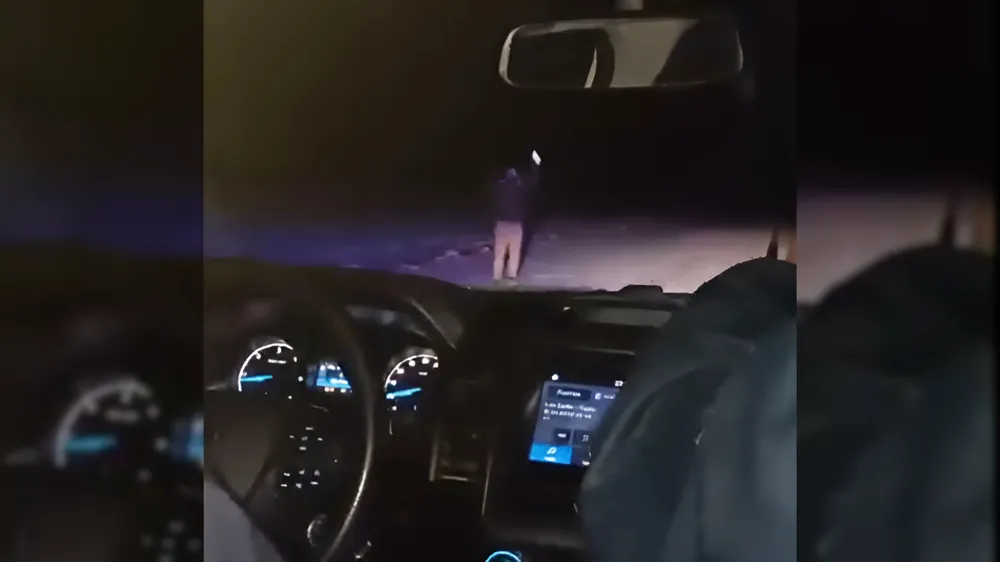 webvero - 2025-05-19T102138.010