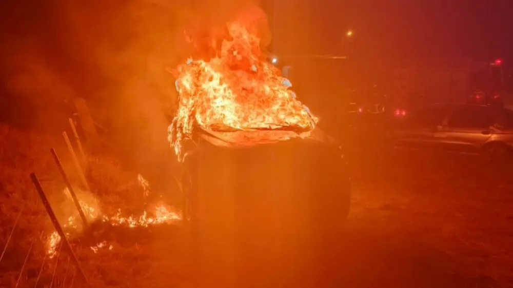 webvero - 2025-05-14T103142.166