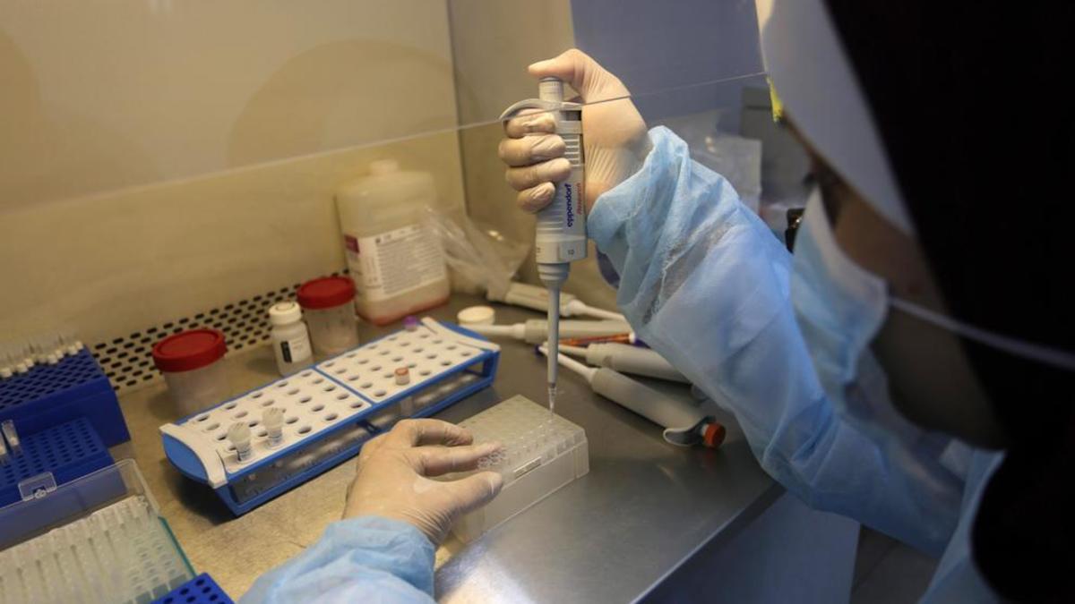 _europapress2719508march152020gazacitypalestinianterritoriespalestinianlaboratory_22002a05