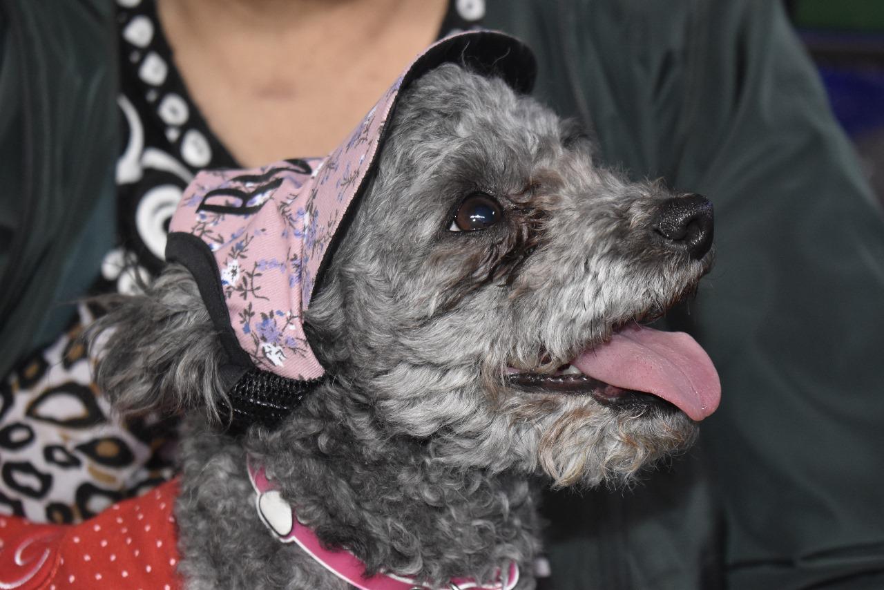 398546950_745976890895253_5160304079318192_n