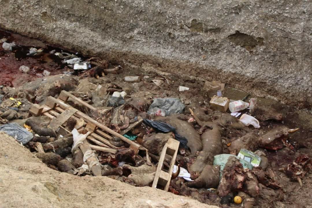 7a977e46-aad0-4944-b797-06ee59fdb95c