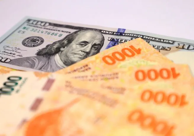 dolar-dolar-2022-dolares-pesos-billetes