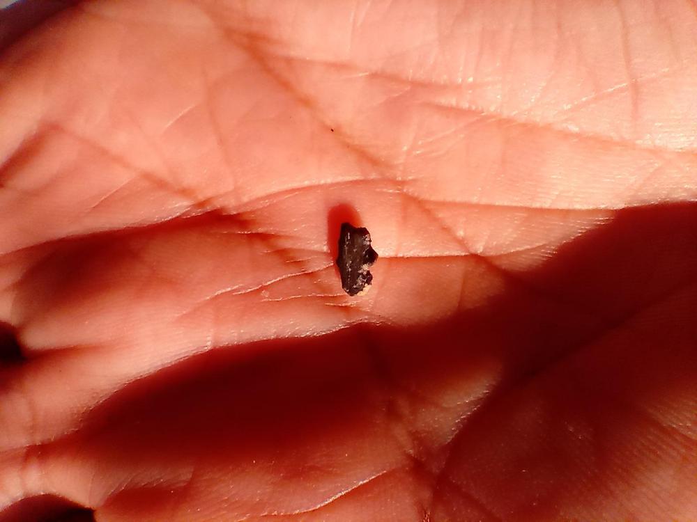 WhatsApp_Image_2024-05-30_at_11.02.56_2